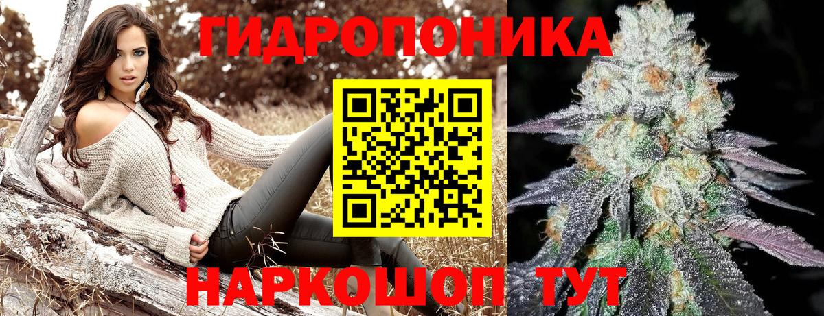 Бошки Шишки Amnesia Сарапул